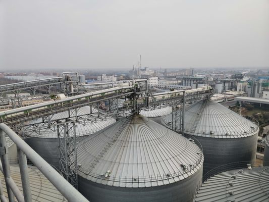 Kho Hạt Thép Công Nghệ Niêm Phong Kín và Chống Hư Hại cho Bảo Quản Quan Trọng trong Ngành Nông Nghiệp