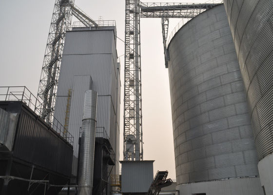 Máy sấy gạo nóng sạch hỗ trợ toàn diện và các giải pháp có thể mở rộng cho hoạt động trên toàn thế giới của các trang trại nhỏ